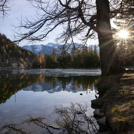 Renaissance 8-12 By Interhome * Champex-Lac